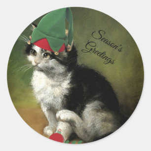 Christmas Kitten - Season's Greetings Classic Round Sticker