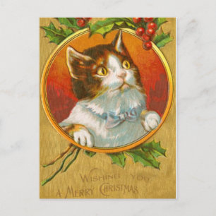 Christmas Kitten with holly berries Holiday Postcard