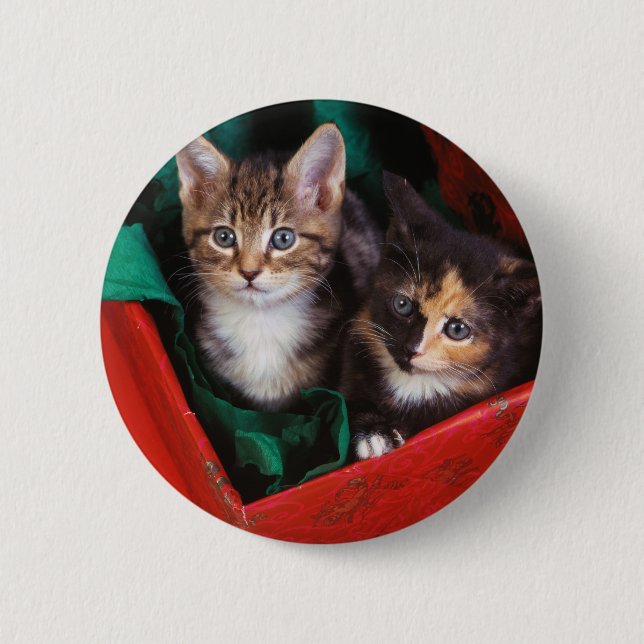 Christmas Kittens 6 Cm Round Badge (Front)