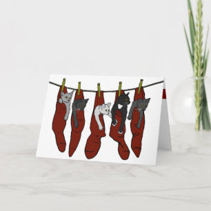 Christmas Kittens   Chatons of Nöel Card (corny)