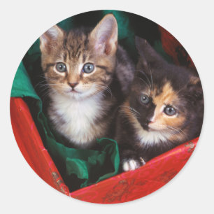 Christmas Kittens Classic Round Sticker