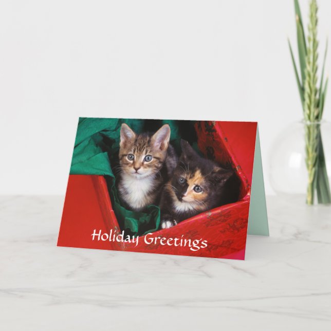 Christmas Kittens Holiday Card (Front)