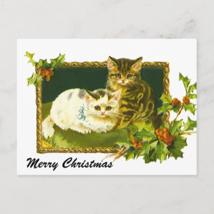 Christmas Kittens Holiday Postcard