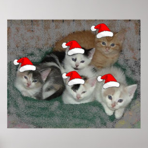 Christmas Kittens Poster
