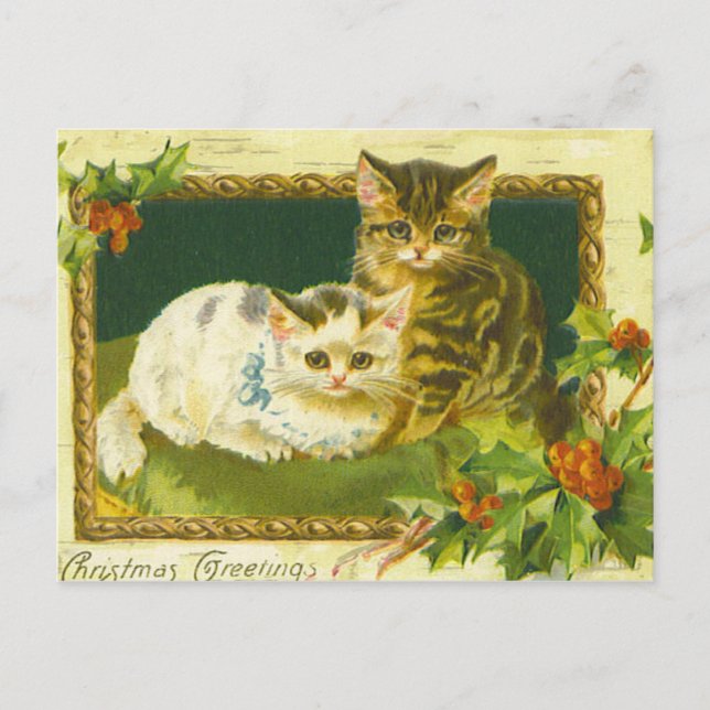 Christmas Kittens Vintage Postcard (Front)