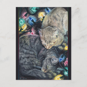 Christmas Kitties Postcard