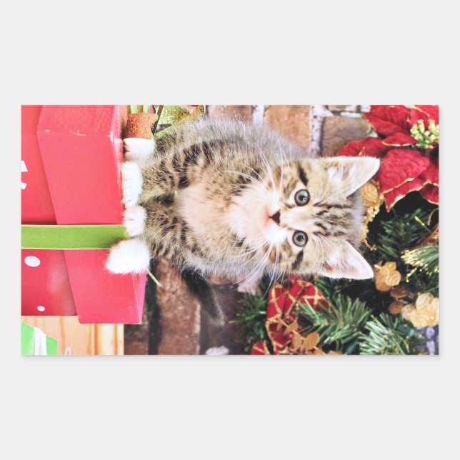 Christmas - Kitty Cat - Monki Rectangular Sticker (Front)