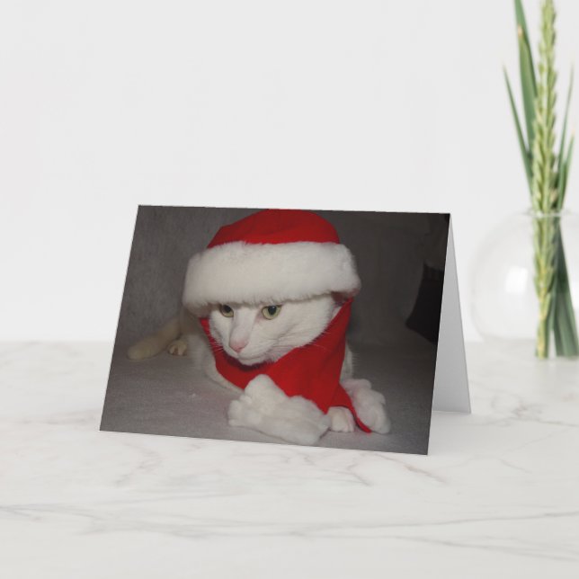 Christmas Kitty Holiday Card (Front)