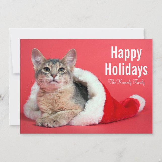 Christmas kitty holiday card (Front)
