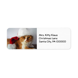 Christmas Kitty in Santa Hat Return Address Labels