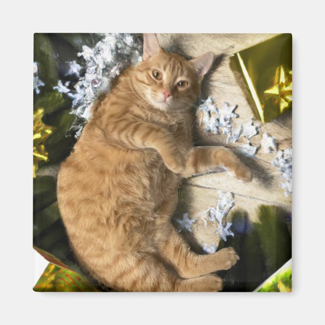 Christmas Kitty Magnet (Front)