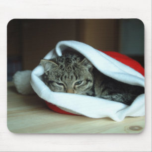 Christmas kitty mouse mat