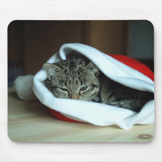 Christmas kitty mouse mat (Front)