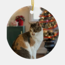 Christmas Kitty Ornament