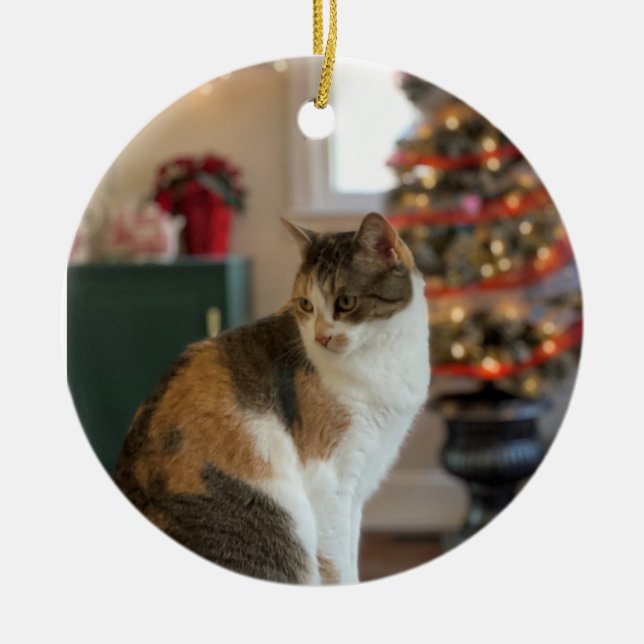 Christmas Kitty Ornament (Front)