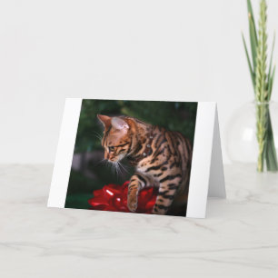 Christmas Kitty Photo (Domestic Bengal Cat) Holiday Card