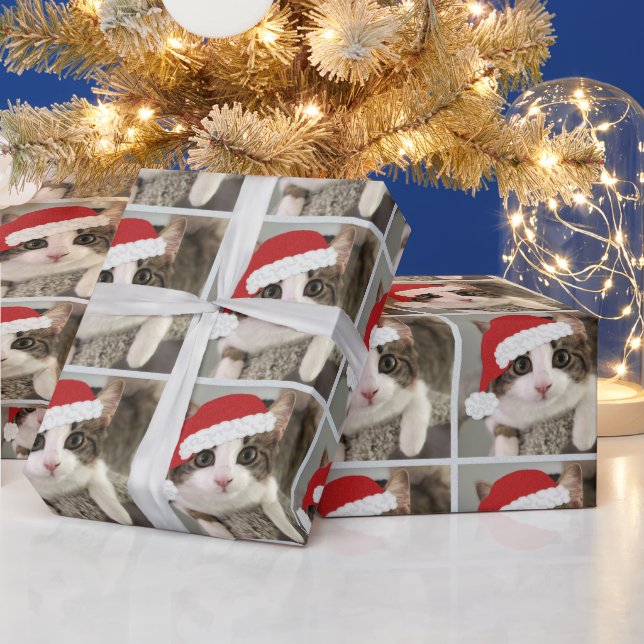 Christmas Kitty Wrapping Paper (Holidays)