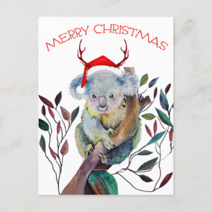 Christmas Koala wearing Santa Hat    Holiday Postcard