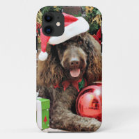 Christmas - LabraDoodle - Harley
