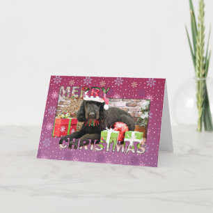 Christmas - LabraDoodle - Miller Holiday Card