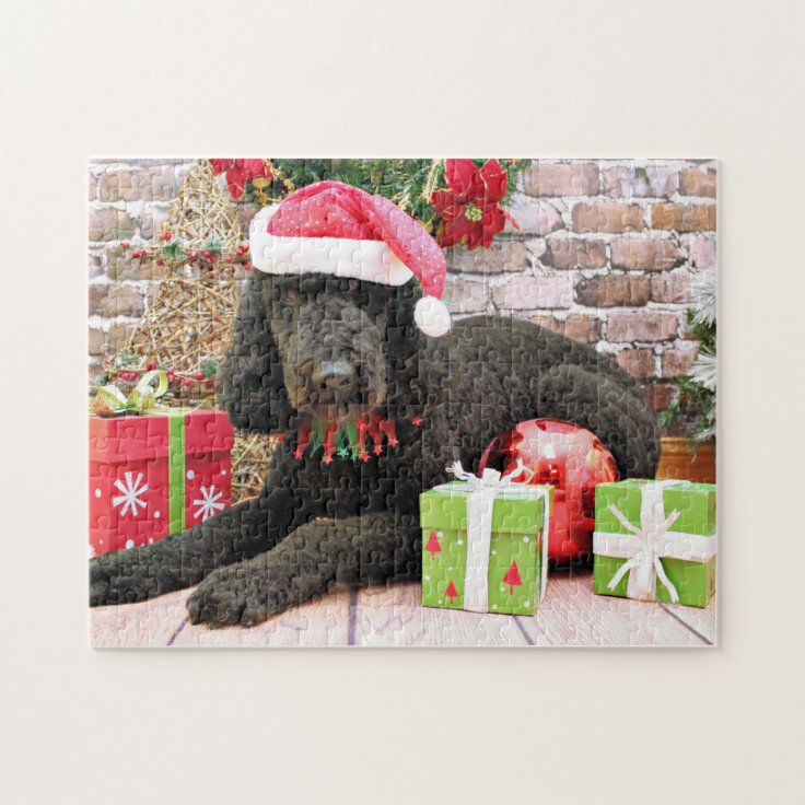 labradoodle jigsaw puzzle