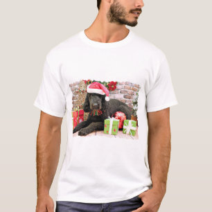 Christmas - LabraDoodle - Miller T-Shirt