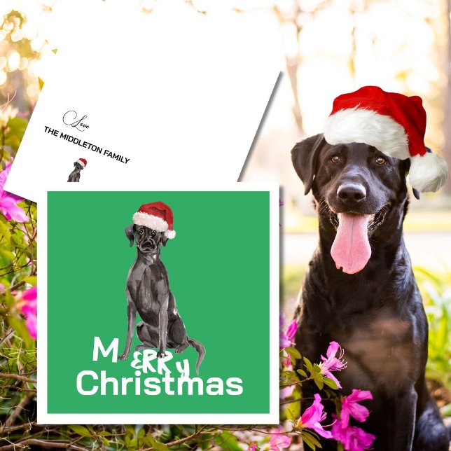 Christmas Labrador Dog White Green Merry Greeting (Creator Uploaded)