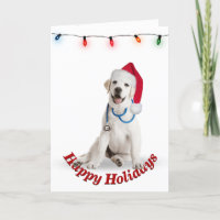 Christmas Labrador Retriever Doctor