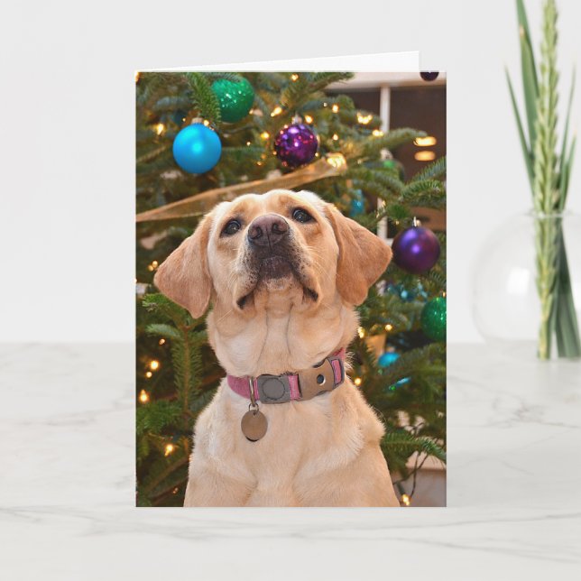 Christmas Labrador Retriever Holiday (Front)