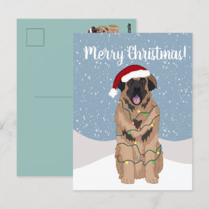 Christmas Leonberger  Postcard