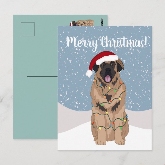 Christmas Leonberger  Postcard (Front/Back)