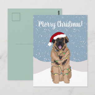 Christmas Leonberger Postcard