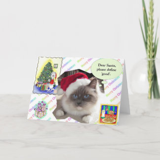 Christmas Letter Holiday Card