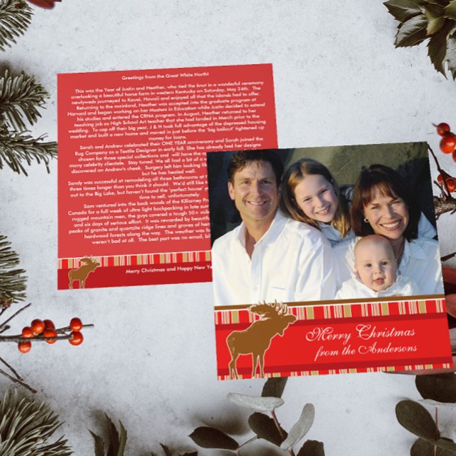 Christmas Letter on Back Moose Christmas Card (Creator Uploaded)