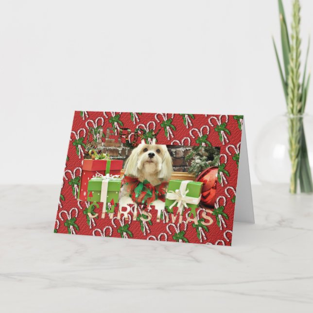 Christmas - Lhasa Apso - Muffie Holiday Card (Front)