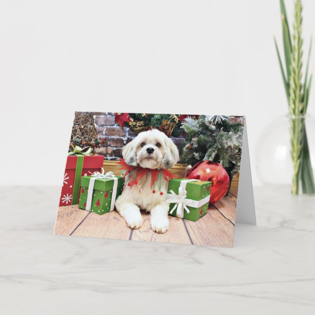 Christmas - Lhasa Apso - Muffie Holiday Card (Front)