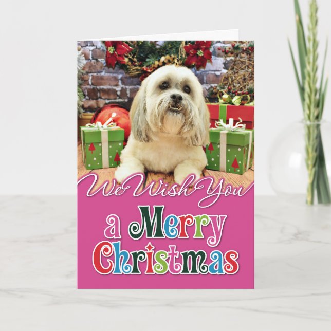 Christmas - Lhasa Apso - Solo Holiday Card (Front)