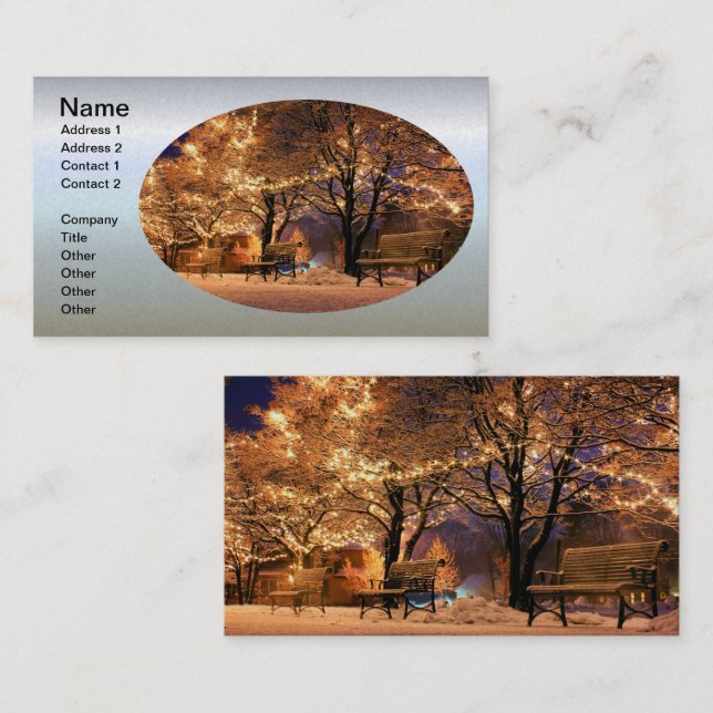 Christmas Light Park Benches Business Card (Front/Back)
