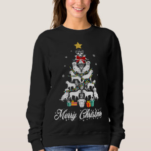 Christmas Light Rottweiler Tree Women Men Kids Sweatshirt
