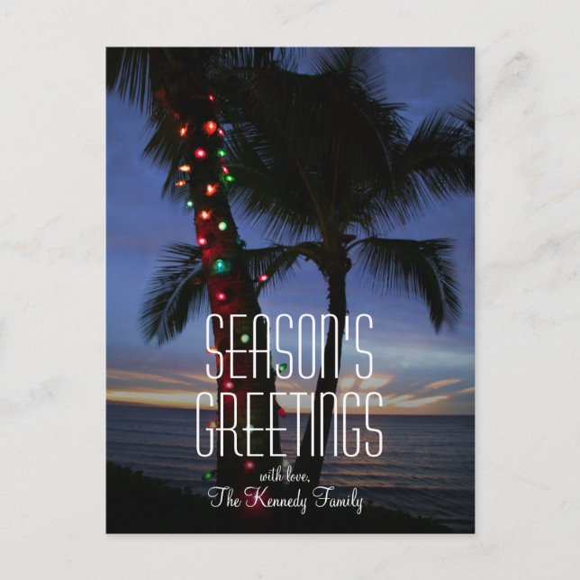 Christmas lights adorn a palm tree at sunset holiday postcard (Front)