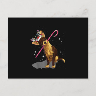 christmas lights chihuahua holiday postcard