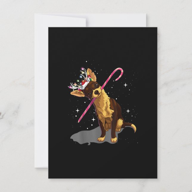 christmas lights chihuahua thank you card (Front)