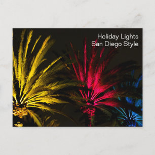 Christmas Lights Palm Tree Holiday San Diego Postcard