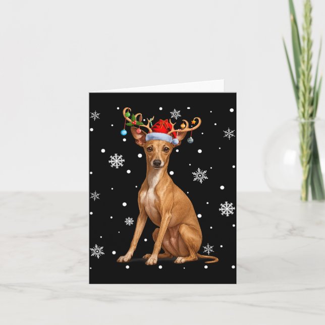 Christmas Lights Reindeer Santa Italian Ghound Xma Card (Front)