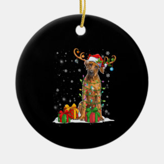 Christmas Lights Rhodesian Ridgeback Dog Ceramic Tree Decoration