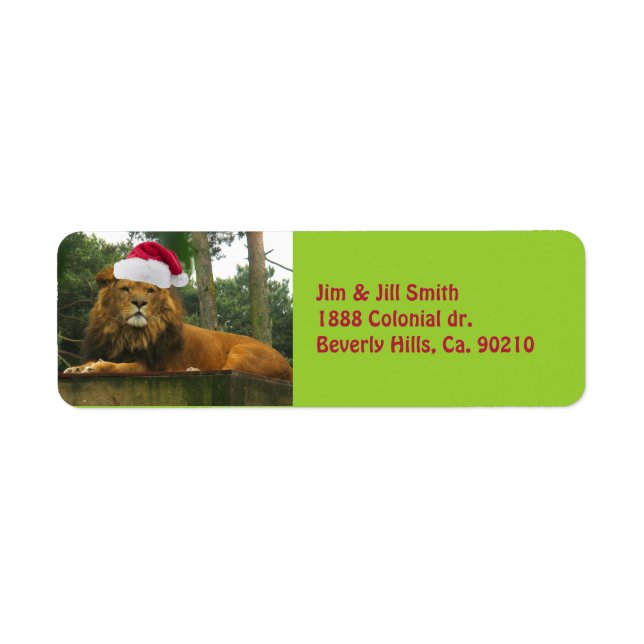 Christmas Lion Wearing Santa Hat (Front)