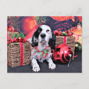Christmas - Louellen Setter - Veruka Holiday Postcard