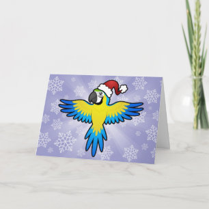 Christmas Macaw / Parrot Holiday Card