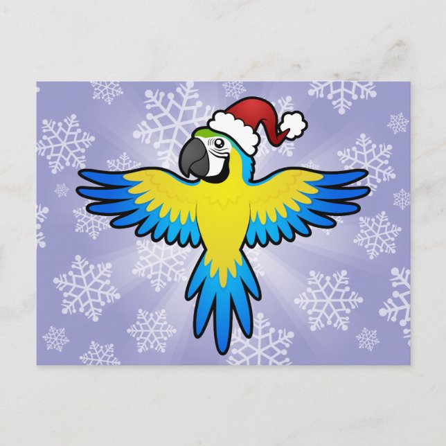 Christmas Macaw / Parrot Holiday Postcard (Front)