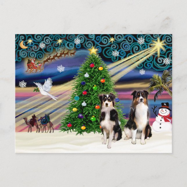 Christmas Magic Australian Shepherds (two, 6-7) Holiday Postcard (Front)